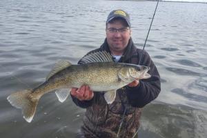 Walleyes in the trees on Stump Lake - Grand Forks Herald