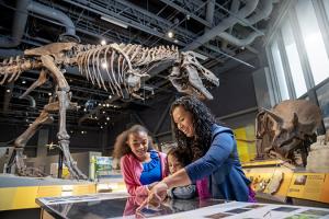 Dinosaur viewing at the ND Heritage Center