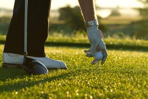 Setting up golf tee