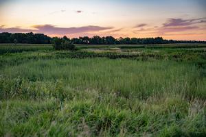 Sheyenne National Grassland