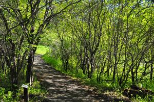 Hiking trail