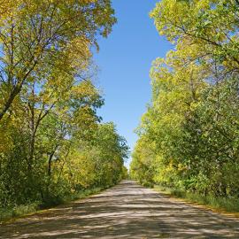 Grahams Island State Park trail