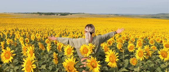 Girl running in sunflowers