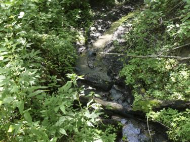 stream at pigeon point preserve photo