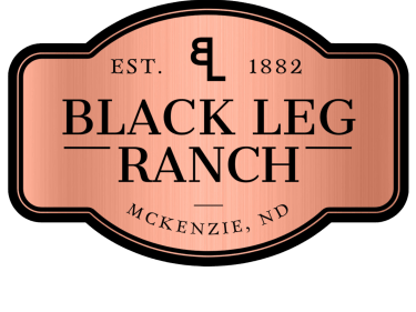 blr copper logo photo