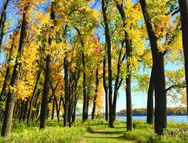 Fall in Cross Ranch